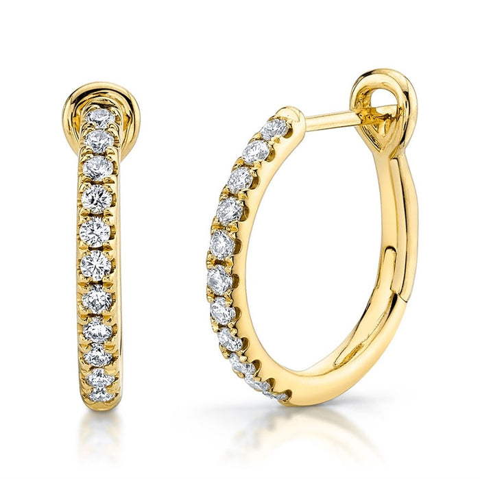 Hoop Earrings - Pasha Fine Jewelry